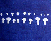 antje dorn - oeloeloel - allee