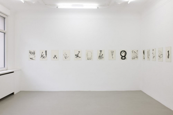 antje dorn - galerie michael sturm -rare animals and numbers